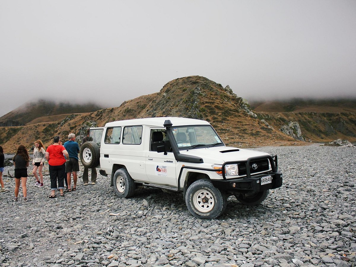 safari race wellington