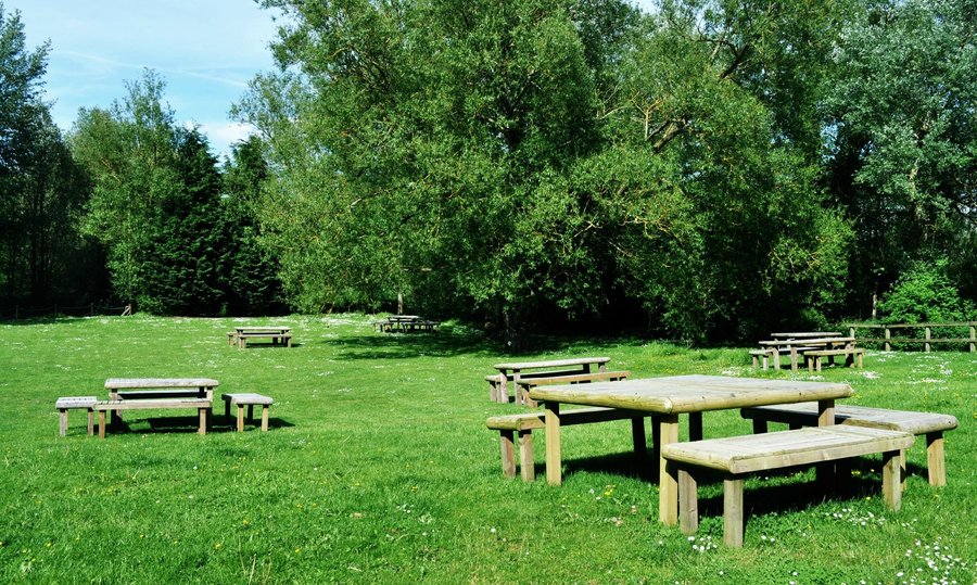 Sunny, Beer Garden.