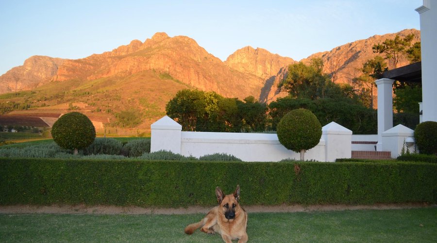 Evening pics