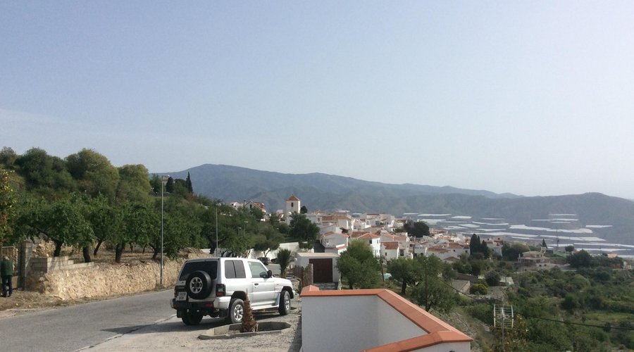 View from