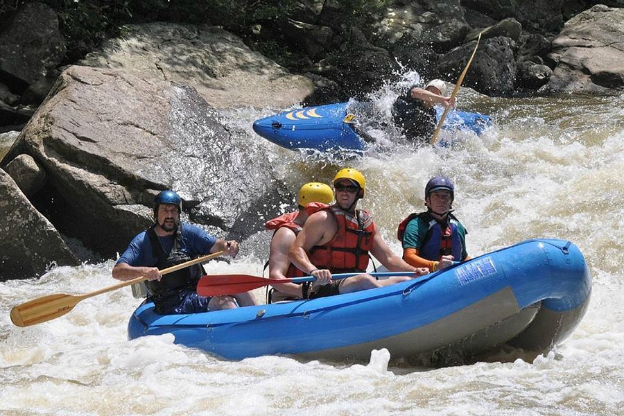 Precision Rafting Expeditions image