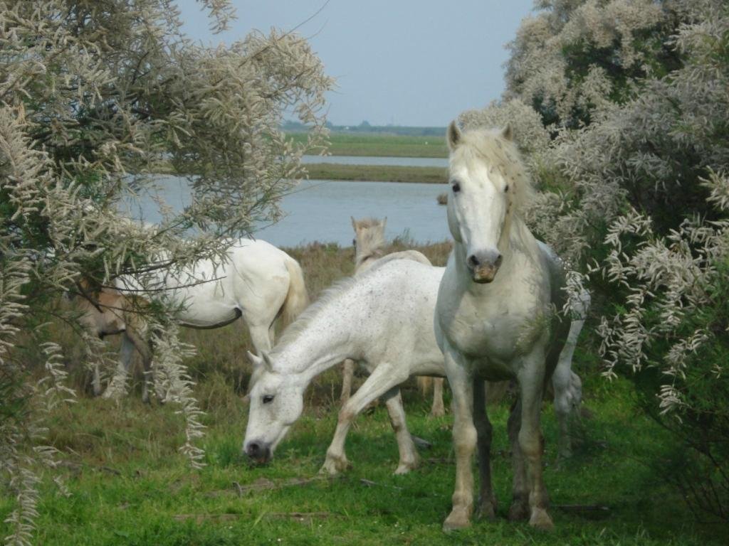 Museo NatuRa (Sant' Alberto) - All You Need to Know BEFORE You Go