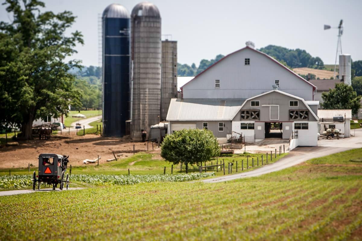 A Is For Amish Buggy Rides All You Need To Know BEFORE You Go 2024   A Is For Amish Buggy 