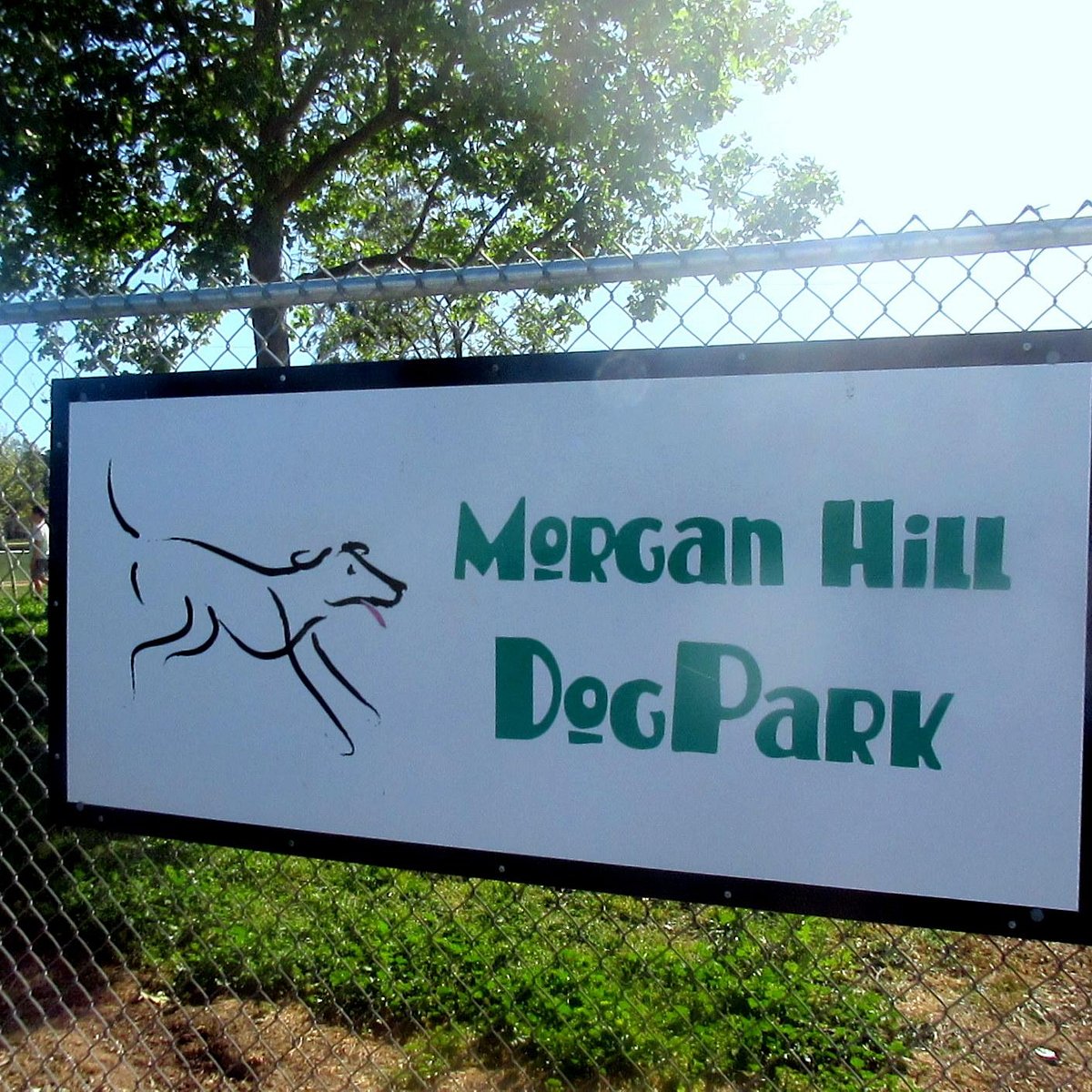Morgan Hill Dog Park Photos