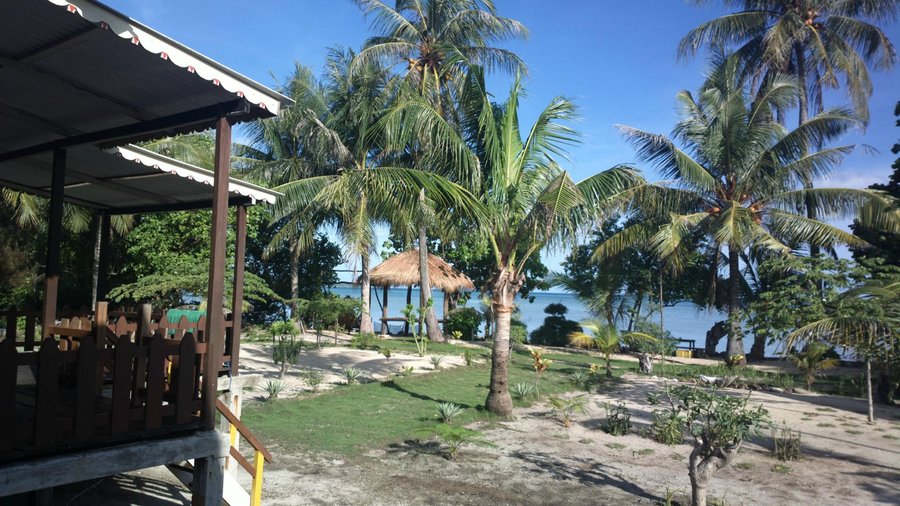 view from wodden bungalow