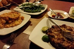 Cibo
