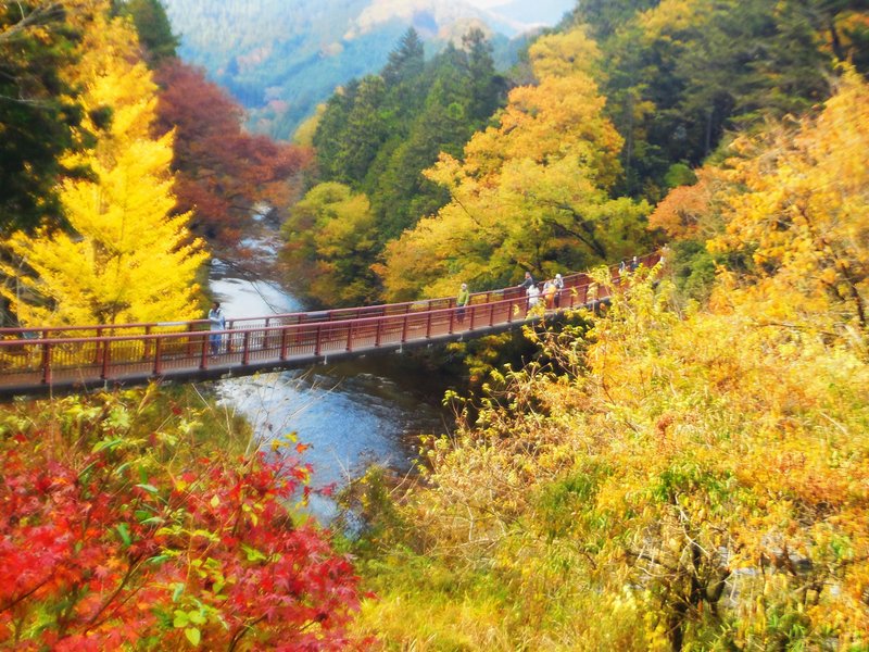 Akiruno, Japan: All You Must Know Before You Go (2024) - Tripadvisor