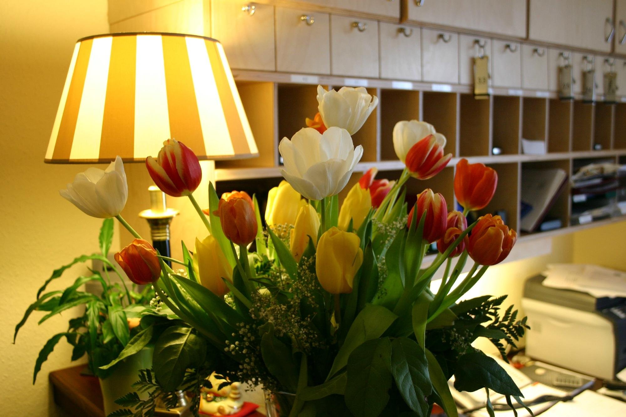 Hotel Löhndorf by null