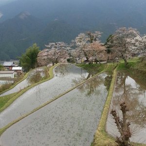 21年 津市で絶対外さないおすすめ観光スポットトップ10 定番から穴場まで トリップアドバイザー