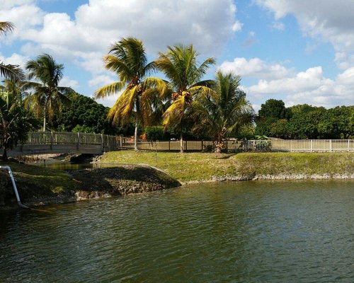 Homestead Florida Airboat Tours