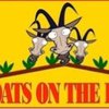 goatlife2015