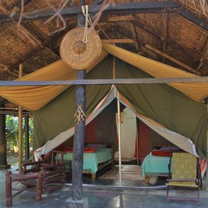 Tent