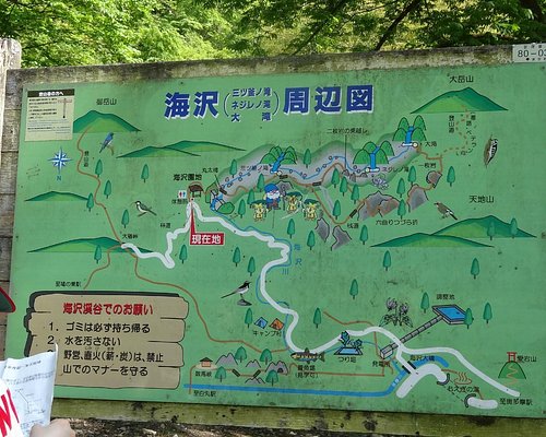 东京都10 大瀑布 Tripadvisor 东京都10 大瀑布 Tripadvisor