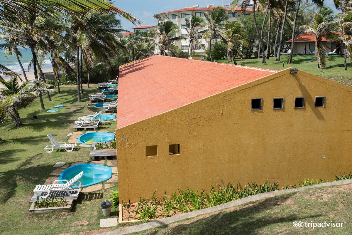 Hotel Marsol Beach Resort Natal 2 800 Fotos Comparação De Preços E 3 799 Avaliações