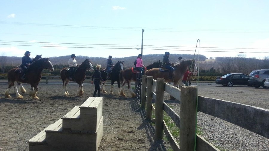 Leaving the farm