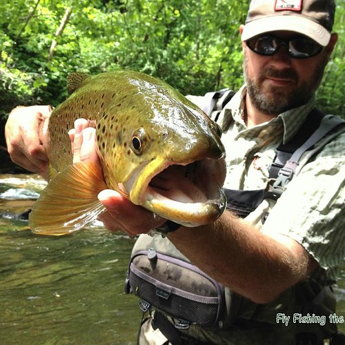 WFS 553 - Fly Fishing North Carolina with Mac Brown - Bryson City