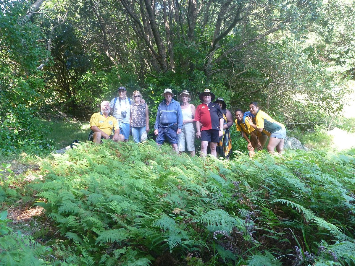 whale-island-tours-whakatane-2022-lohnt-es-sich-mit-fotos