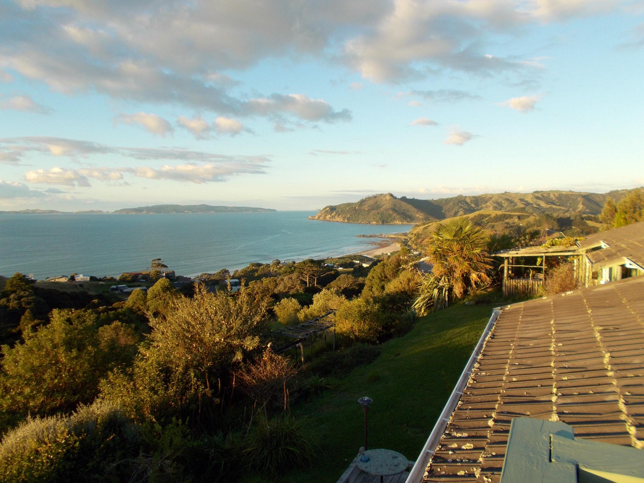 KAEPPELI'S KUAOTUNU - RAWHITI COTTAGE - Prices & B&B Reviews (Whitianga ...