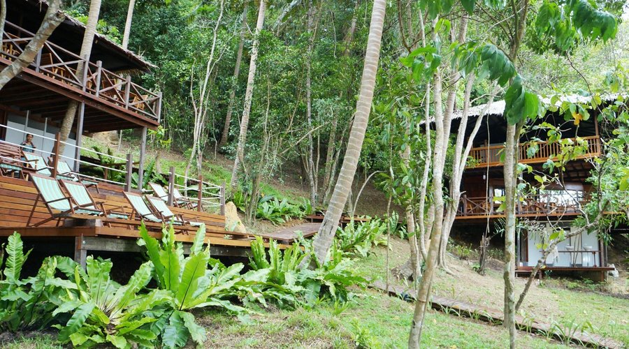 The Compound