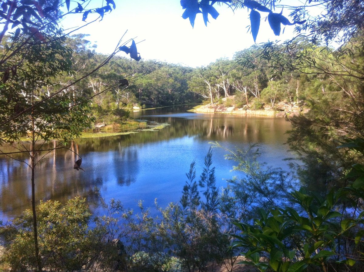 LAKE PARRAMATTA RESERVE (Sydney): All You Need to Know