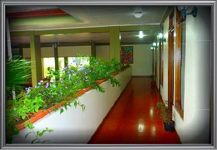 getlstd_property_photo