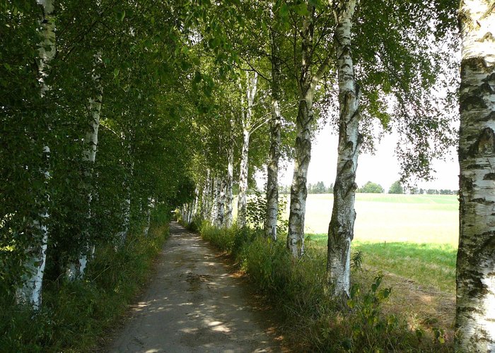 Lynge, Denmark 2024 Best Places to Visit Tripadvisor