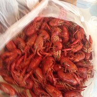 Good crawfish!