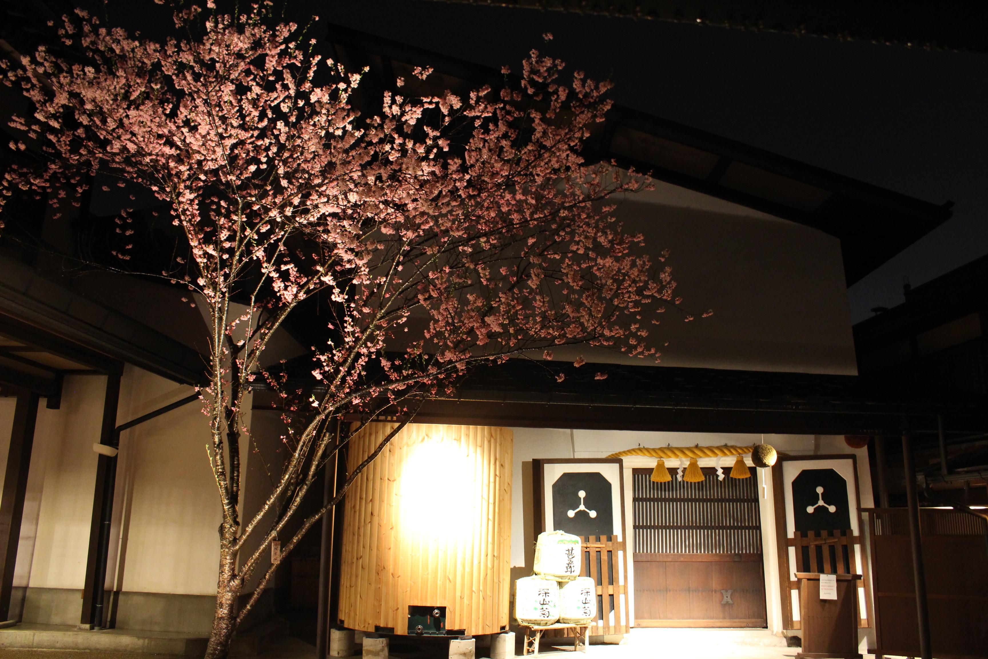 AJINO YOHEI, Takayama - Restaurant Reviews, Photos & Phone