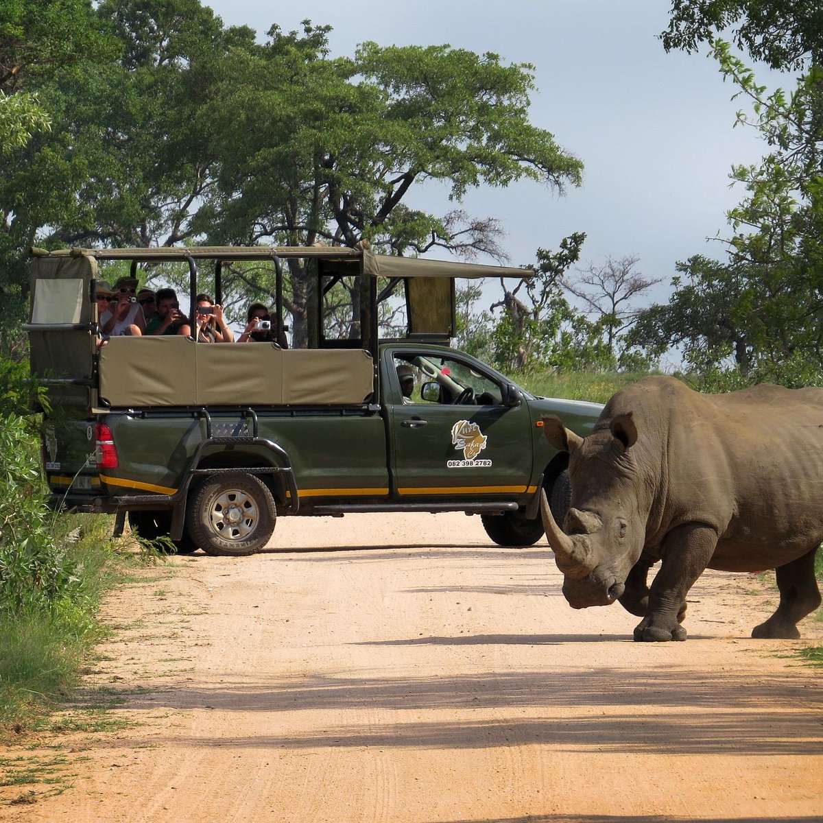 Kruger park safaris