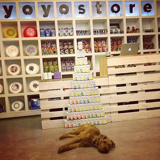 Svig Moderne kone Yoyo Store (Prague) - All You Need to Know BEFORE You Go
