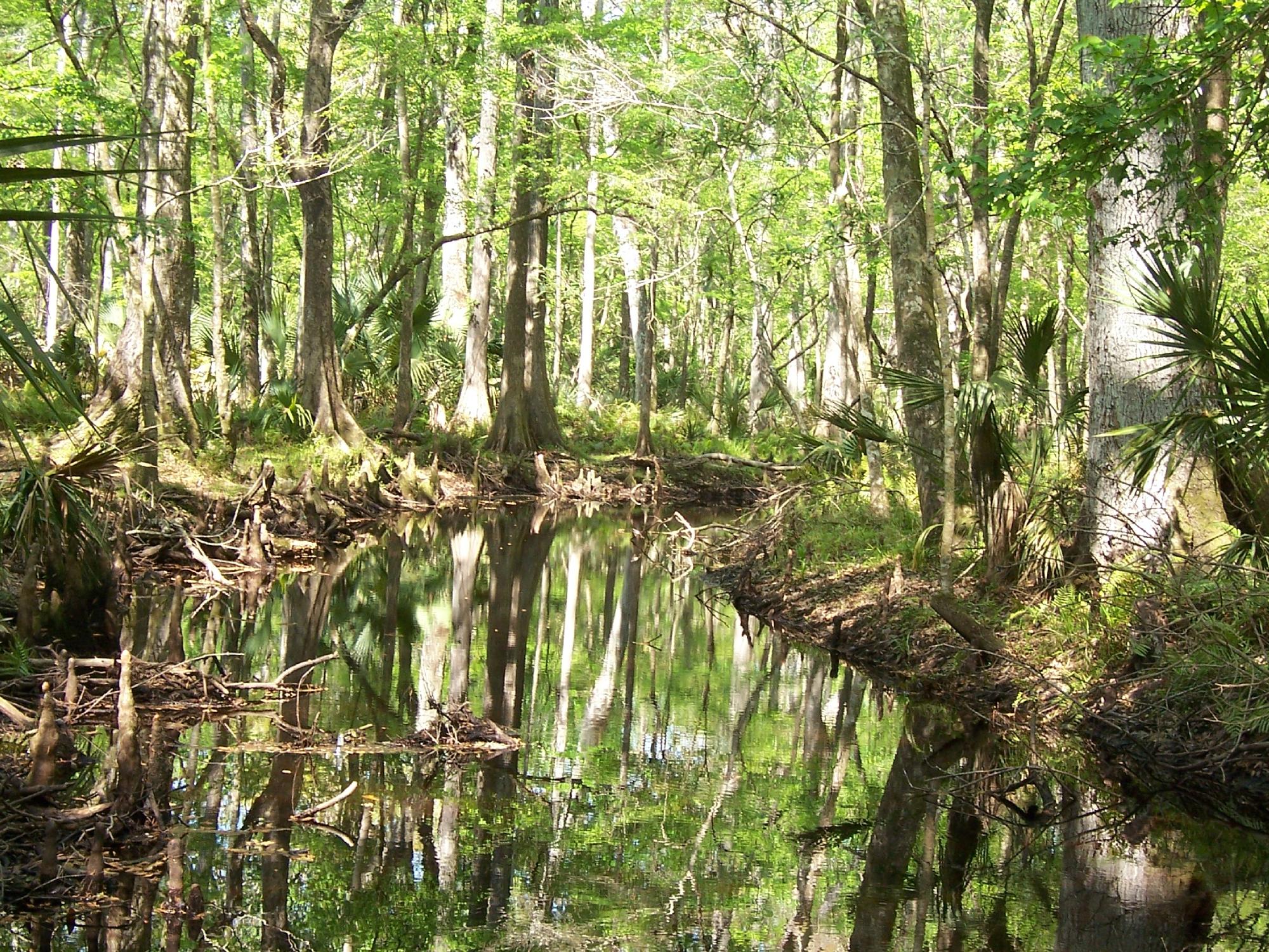 Jay B. Starkey Wilderness Park (New Port Richey) - 2022 Alles Wat U ...