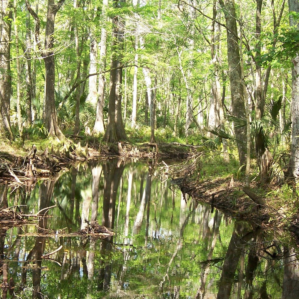 Jay B. Starkey Wilderness Park (New Port Richey) - All You Need to Know ...