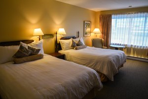 Room & Suite