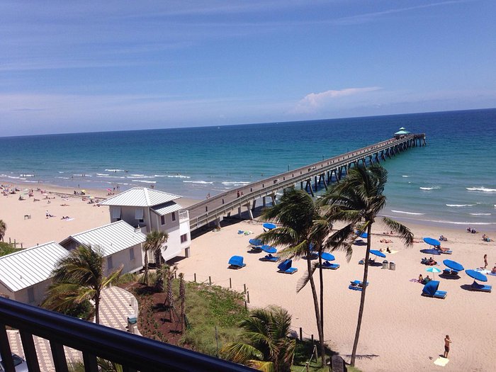 One City, Two Titles  Deerfield Beach High School