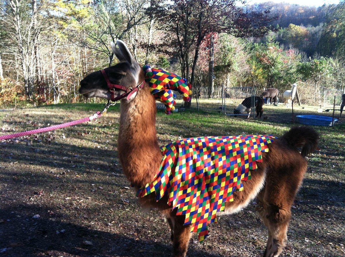 Smoky Mountain Llama Treks Map