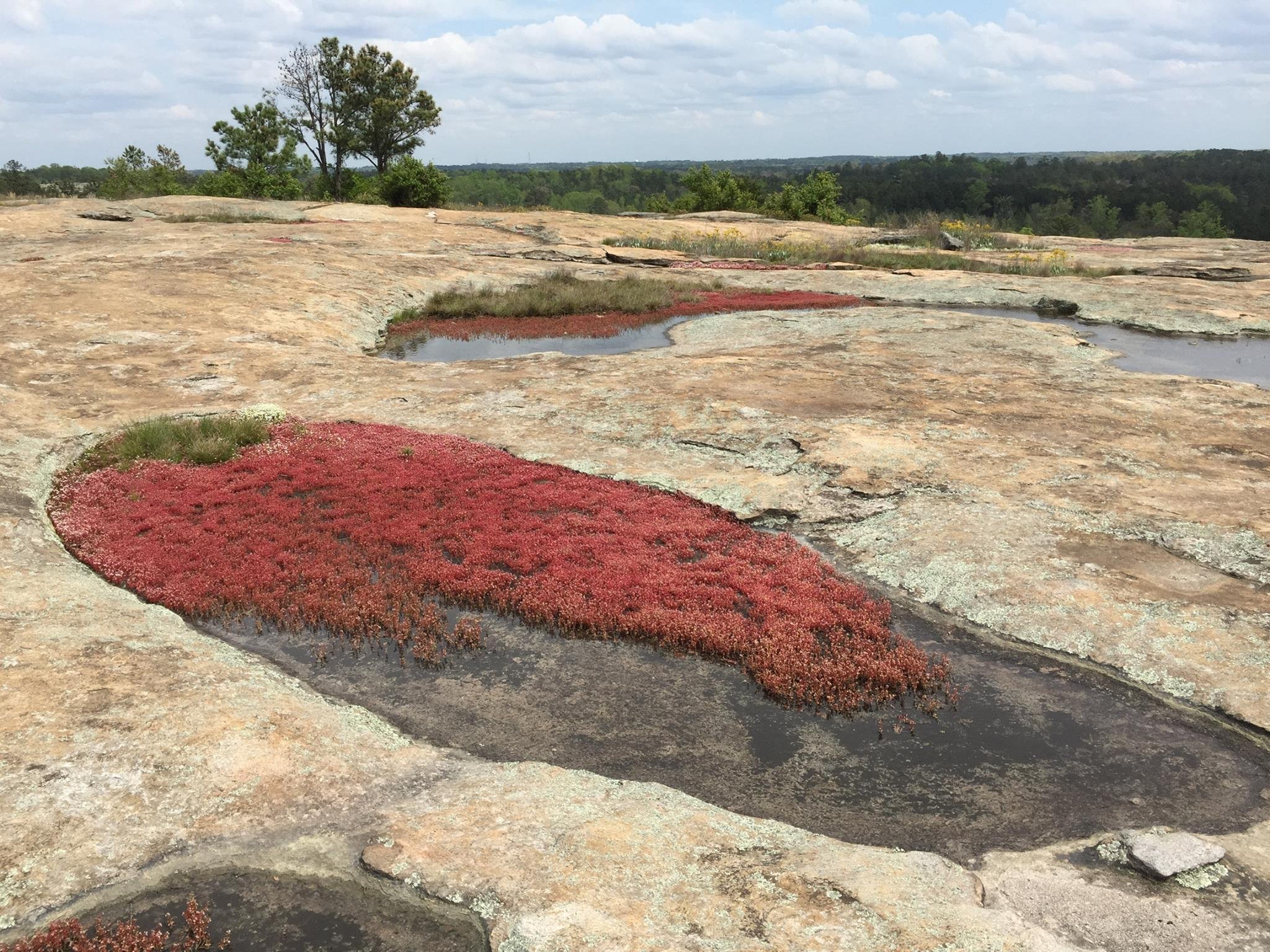 Arabia mountain bike discount trail