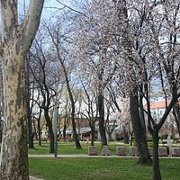 Beautiful Promenade