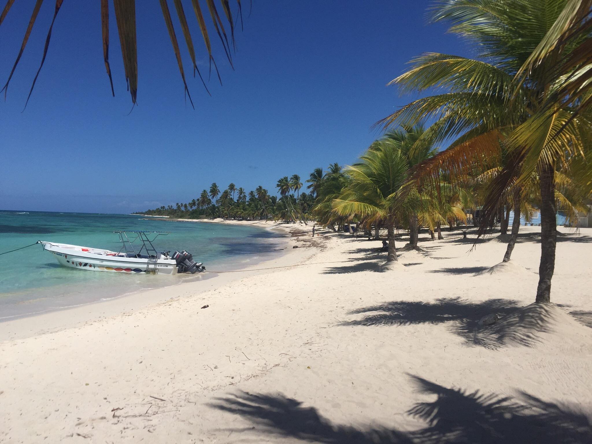 pro excursions bayahibe reviews