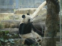 21年 上野動物園 行く前に 見どころをチェック トリップアドバイザー