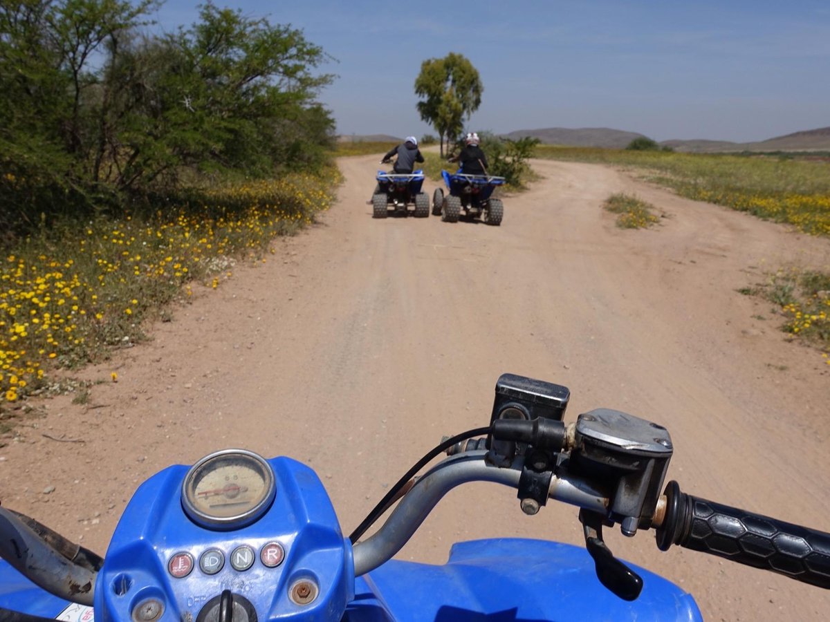 Raid Quad Maroc (Marrakech) - 2023 Lo que se debe saber antes de viajar ...