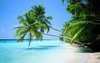 islandh0pper4life