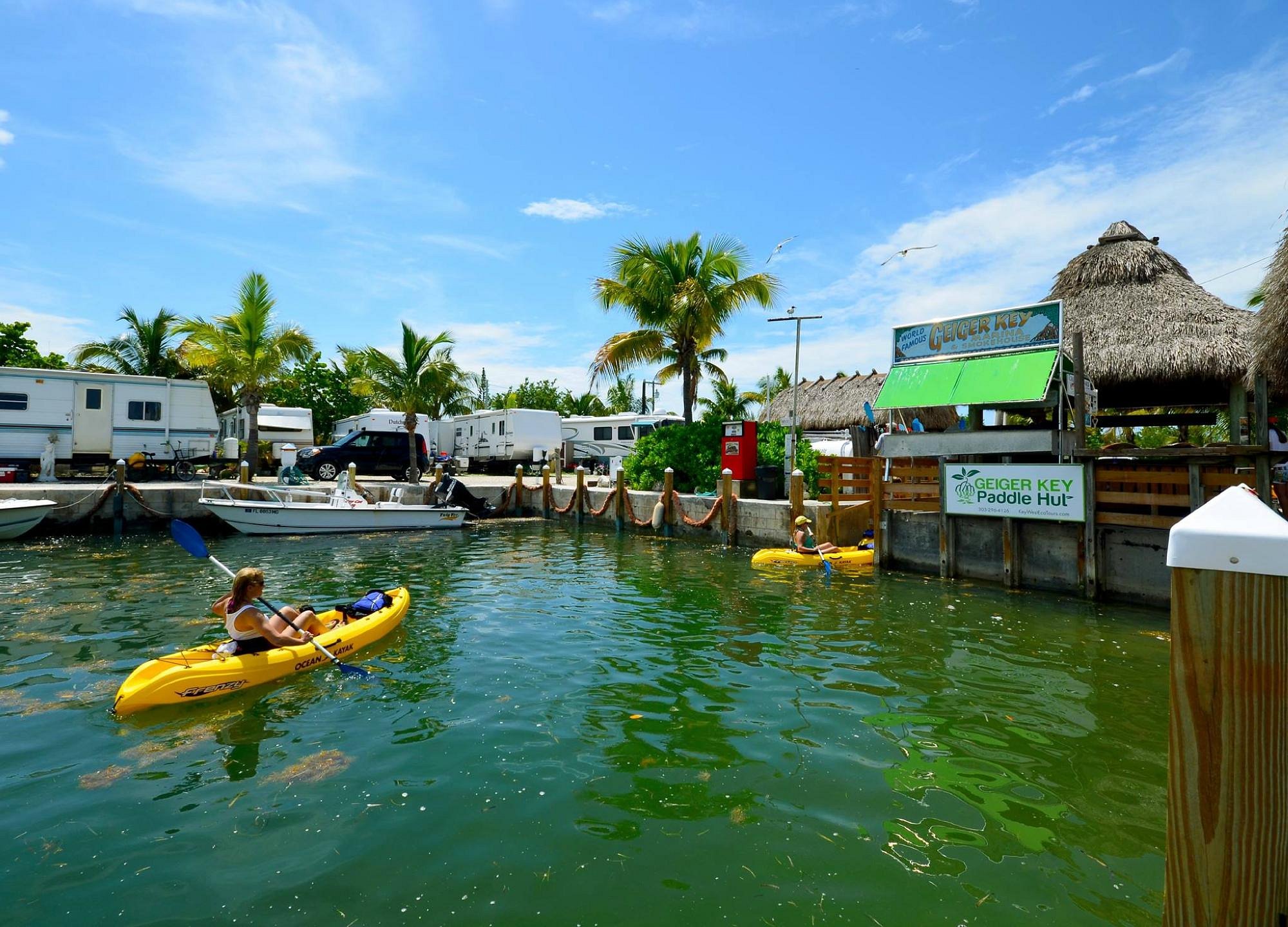 eco tours in key west