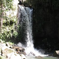 Curtis Falls