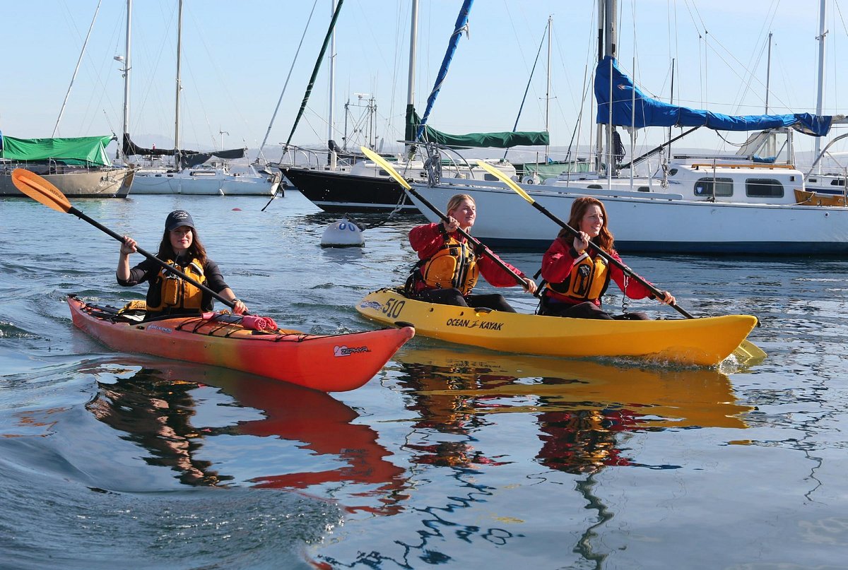 Monterey Bay Kayaks - All You Need to Know BEFORE You Go (2024)