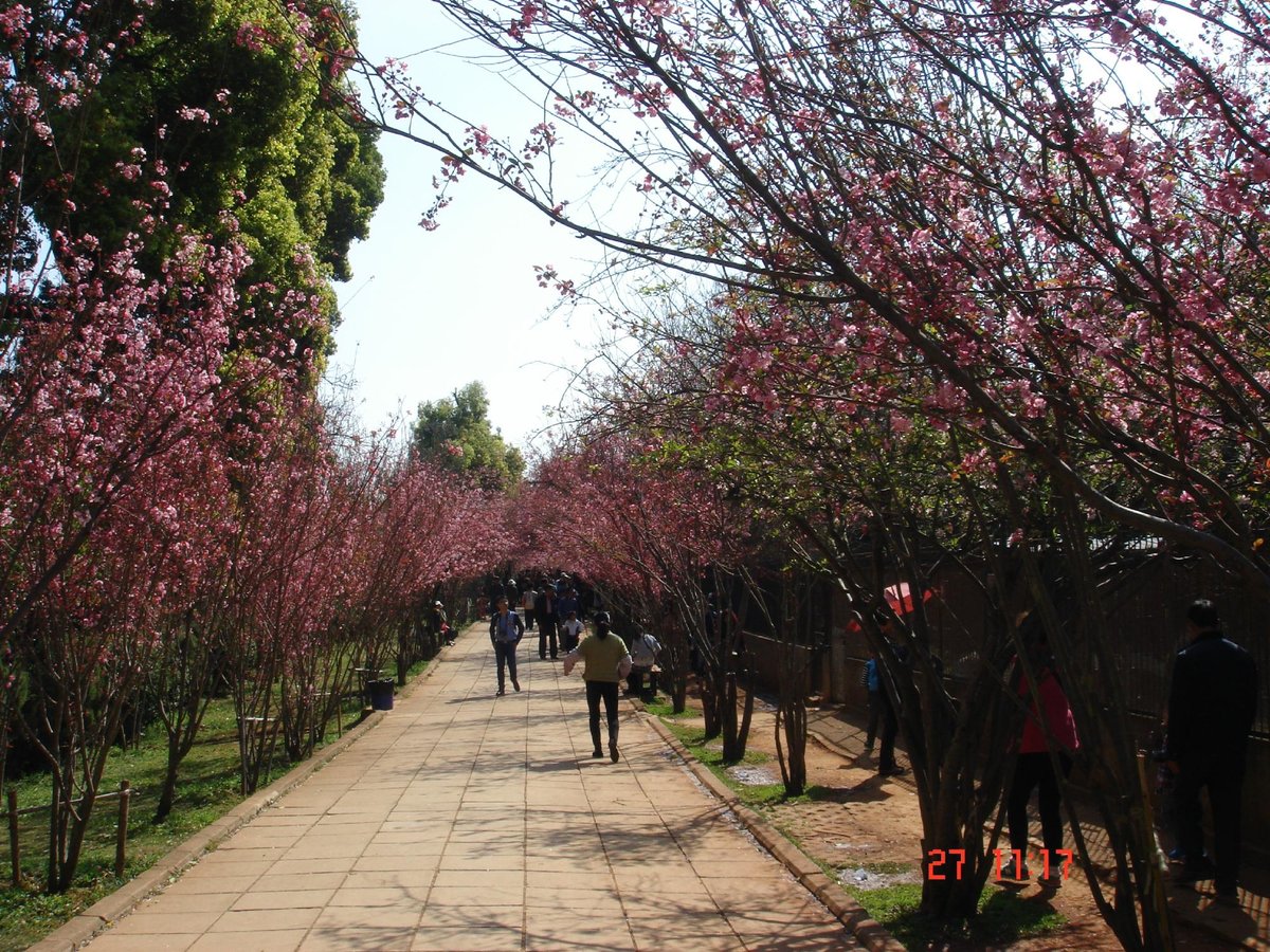 Kunming Zoo, Куньмин: лучшие советы перед посещением - Tripadvisor