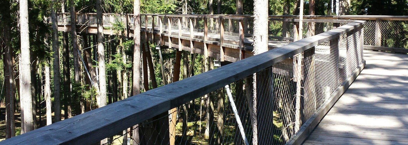 Treetop Walkway