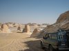 OptomAbroad
