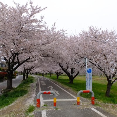 関東地方のサイクリングコース 関東地方の 10 件のサイクリングコースをチェックする トリップアドバイザー