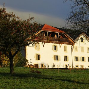 The B&B