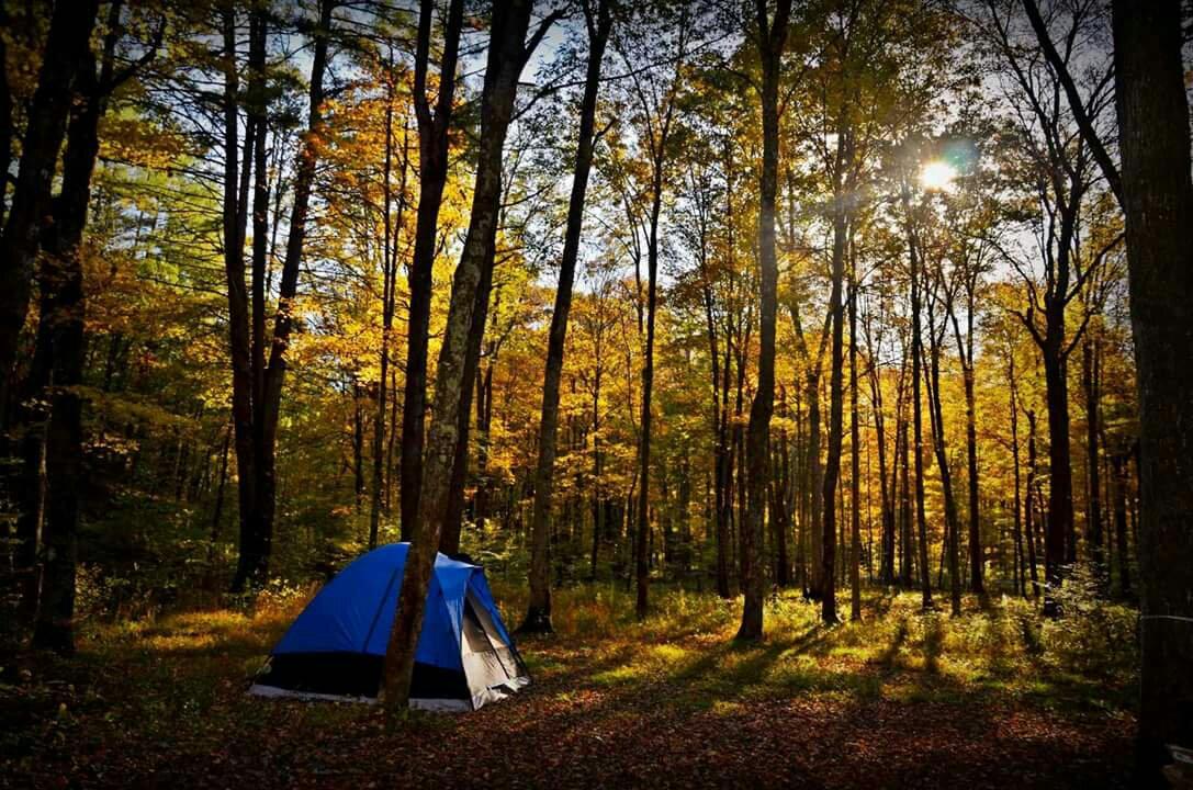 State forest outlet campgrounds near me